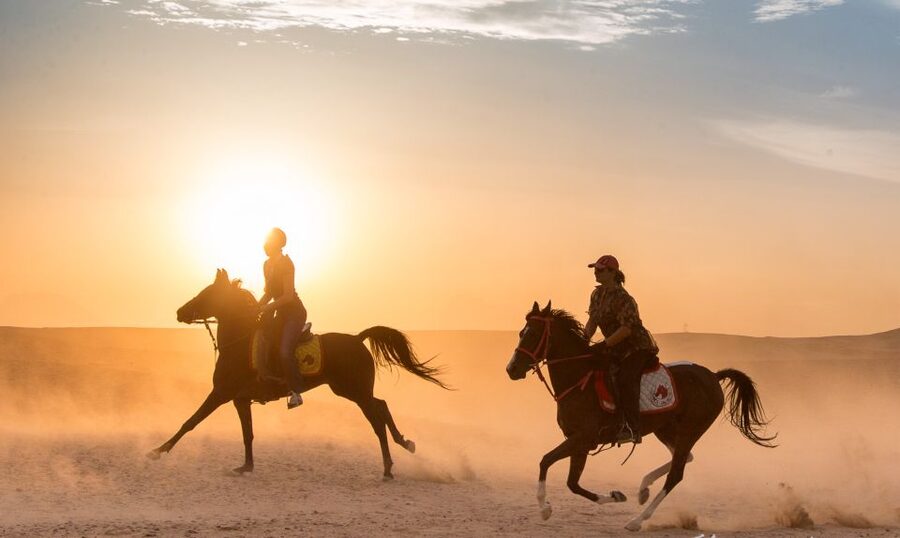 Hurghada: Quad Bike Safari, Camel Horse Ride, Dinner & Shows - Stargazing with a professional astronomer