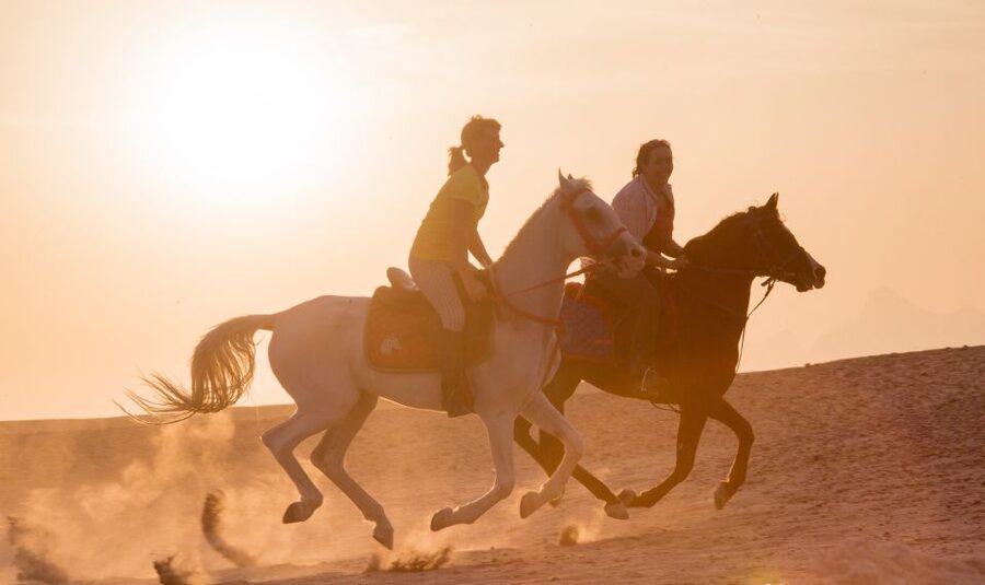 Hurghada: Quad Bike Safari, Camel Horse Ride, Dinner & Shows - Who should book this Hurghada safari