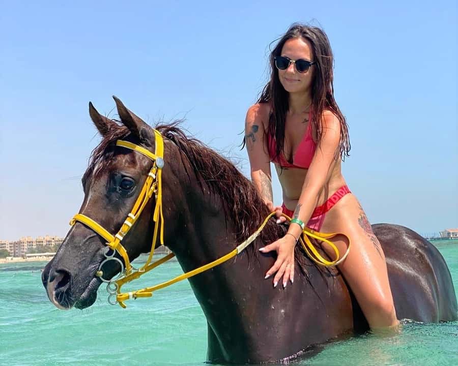 Hurghada: Sea & Desert Horse Riding tour/w Swimming&Transfer - Key points before you book
