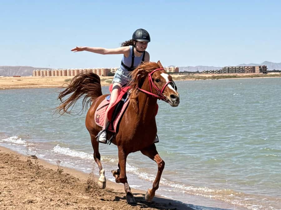 Hurghada: Sea & Desert Horse Riding tour/w Swimming&Transfer - Choosing between 90 minutes, two hours, and longer rides