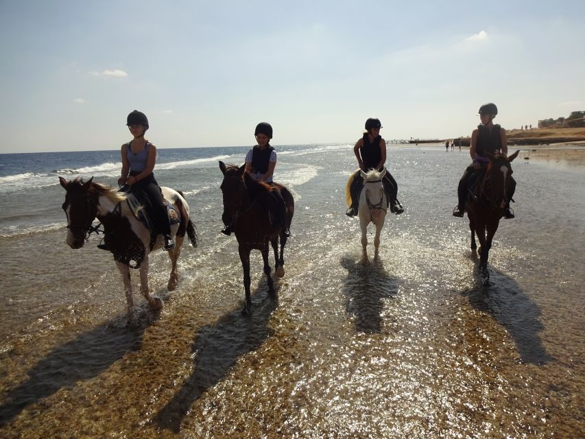 Hurghada: Sea & Desert Horse Tour, Stargazing, Dinner & Show - Practical booking advice for a smoother ride
