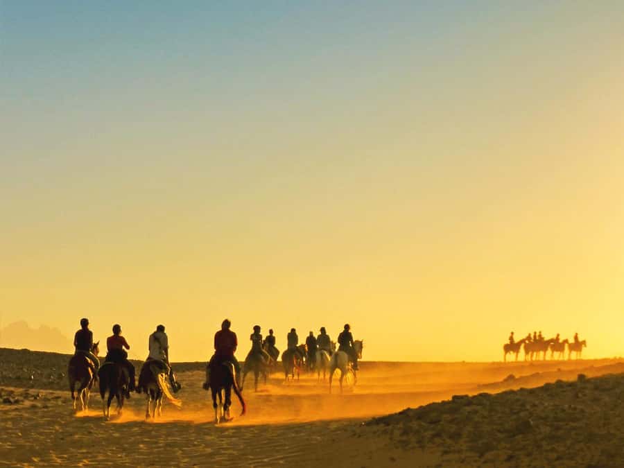 Hurghada: Sea & Desert Horse Tour, Stargazing, Dinner & Show - Choosing the right departure time