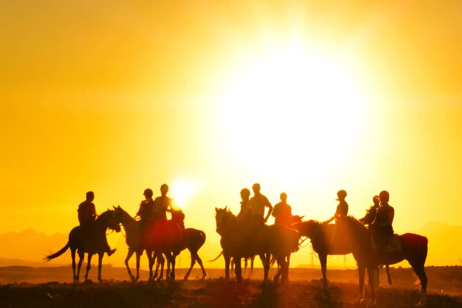 Hurghada: Sea & Desert Horse Tour, Stargazing, Dinner & Show - What the $20 price really gives you