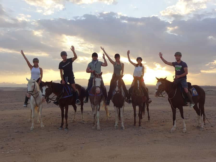 Hurghada: Sea & Desert Horse Tour, Stargazing, Dinner & Show - Why the horses and guides matter