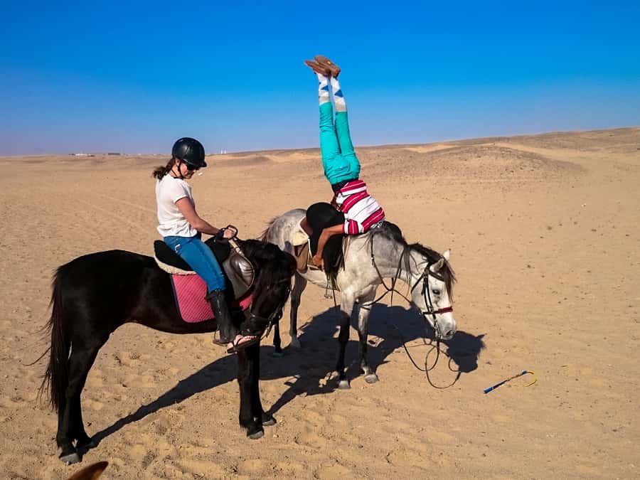 Hurghada: Sunset Sea, Desert Horse W Opt, Dinner, Stargazing - Final verdict: book it for the ride, not just the extras