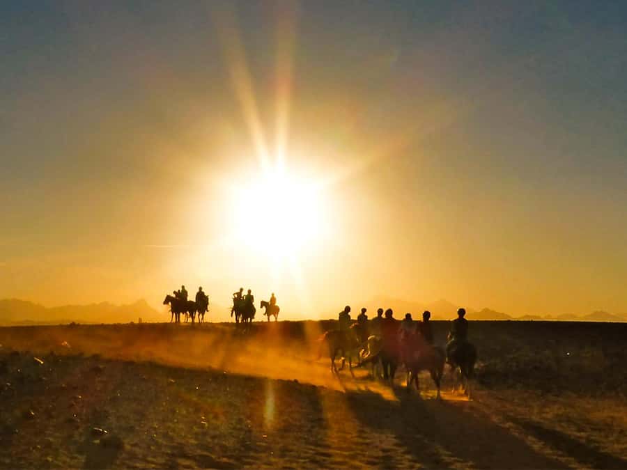 Hurghada: Sunset Sea, Desert Horse W Opt, Dinner, Stargazing - Two hours in the saddle