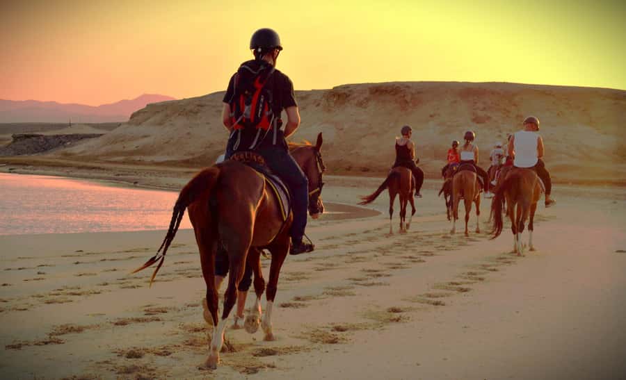 Hurghada: Sunset Sea, Desert Horse W Opt, Dinner, Stargazing - Dinner, dancing, and stargazing after dark