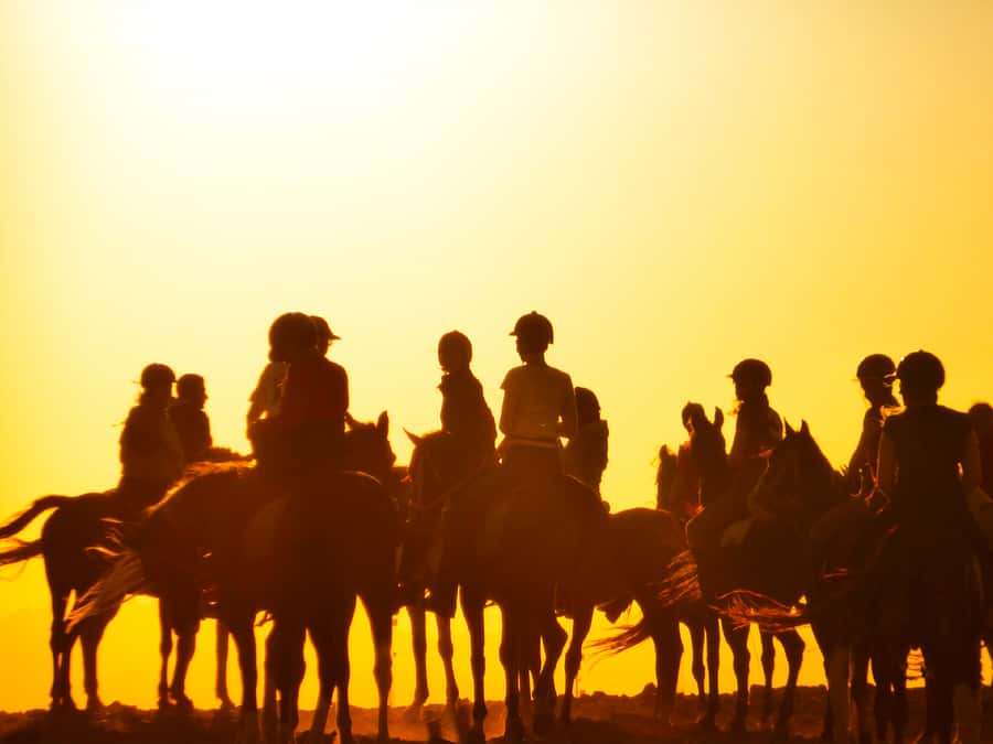 Hurghada: Sunset Sea, Desert Horse W Opt, Dinner, Stargazing - Who should book, and who should skip it