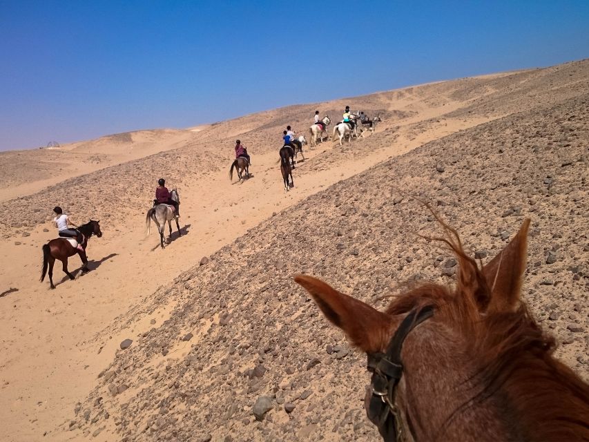 Hurghada: Sunset Sea, Desert Horse W Opt, Dinner, Stargazing - Practical details that affect your day