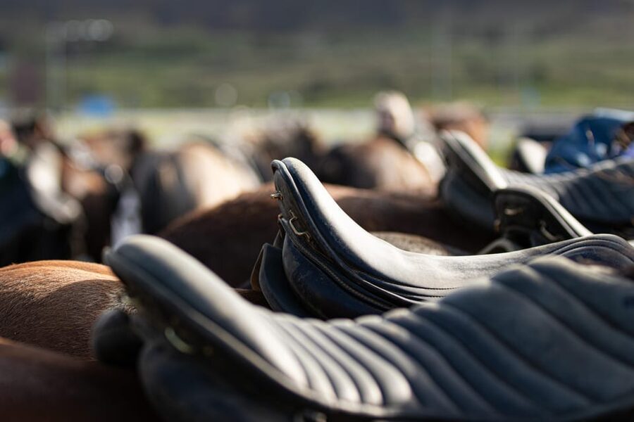 Hveragerdi: Countryside Charm Horse Riding Tour - The one-hour route through Ölfus meadows