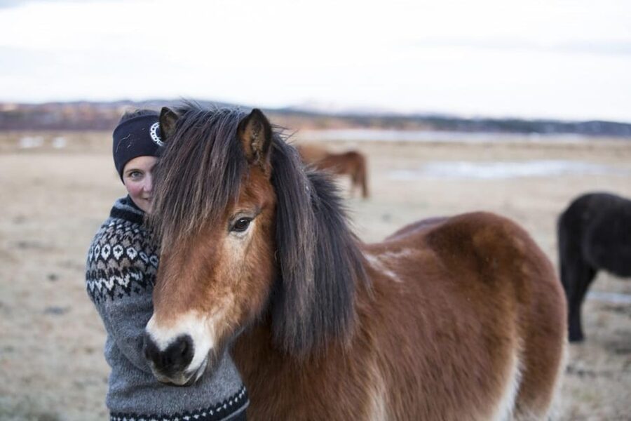 Hveragerdi: Countryside Charm Horse Riding Tour - The people this ride suits best