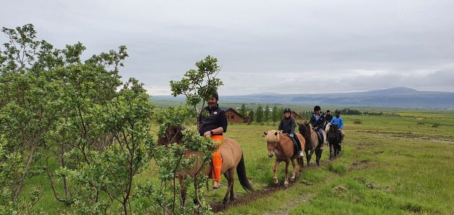 Hveragerdi: Reykjadalur (Hotspring Valley) Horse Riding Tour - A Route Chosen for Your Group