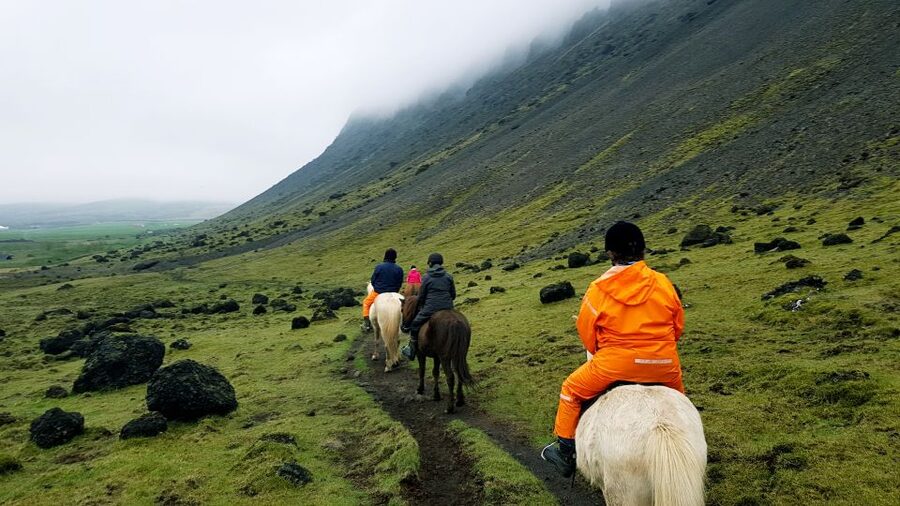 Hveragerdi: Reykjadalur (Hotspring Valley) Horse Riding Tour - Learning the Tölt