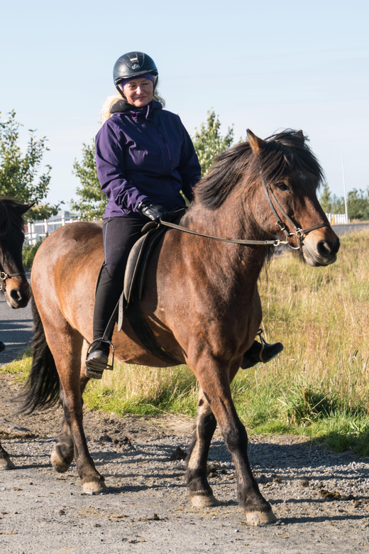 Hveragerdi: The Siggi Horse Riding Tour - Is $136 a fair price?