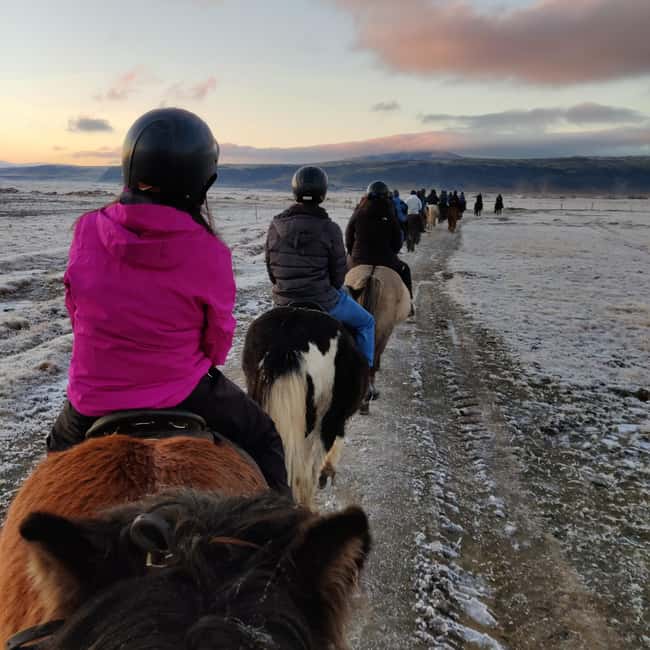 Hveragerdi: The Siggi Horse Riding Tour - Booking advice and cancellation flexibility