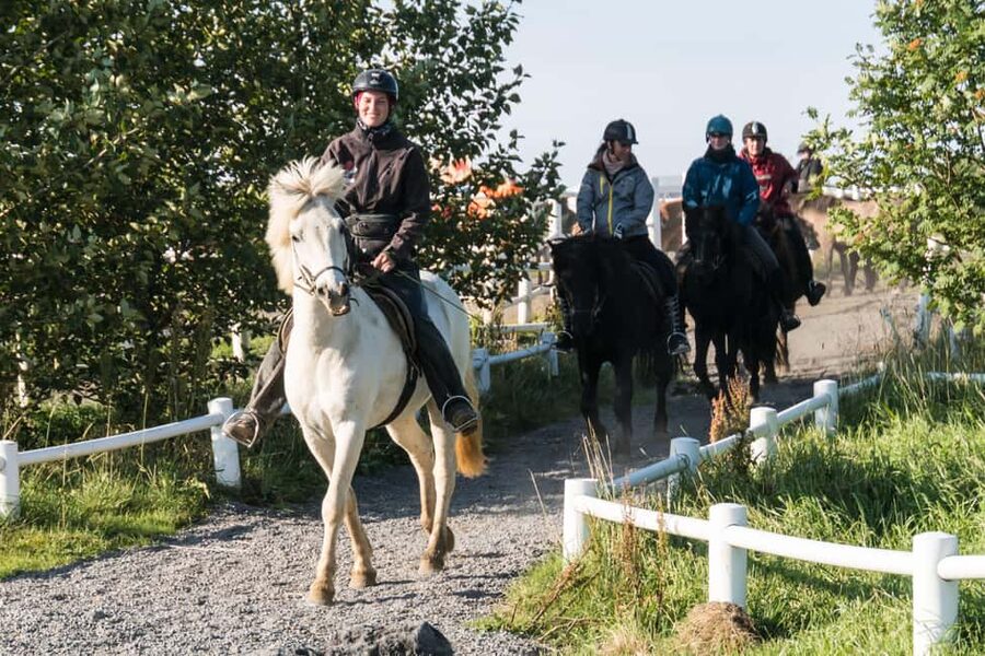 Hveragerdi: The Siggi Horse Riding Tour - Choosing a horse and getting ready
