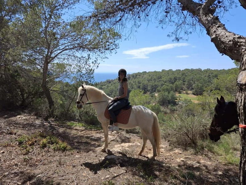 IBIZA: Private Horseback Ride with PICNIC + Hotel Pick-up - Key points to know before booking