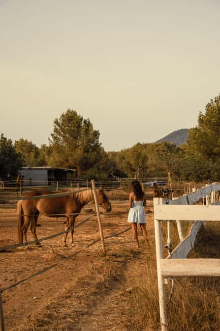 IBIZA: Private Horseback Ride with PICNIC + Hotel Pick-up - FAQ