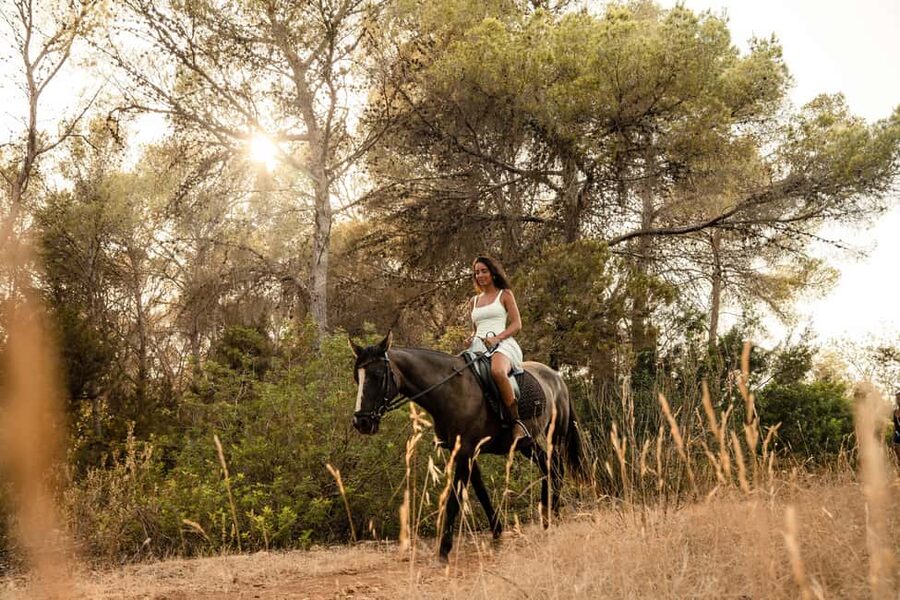 IBIZA: Private Horseback Ride with PICNIC + Hotel Pick-up - What the private format changes