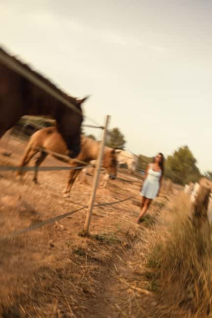 IBIZA: Private Horseback Ride with PICNIC + Hotel Pick-up - Horse care and guide support