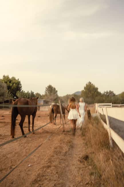 IBIZA: Private Horseback Ride with PICNIC + Hotel Pick-up - The best match for different kinds of visitors