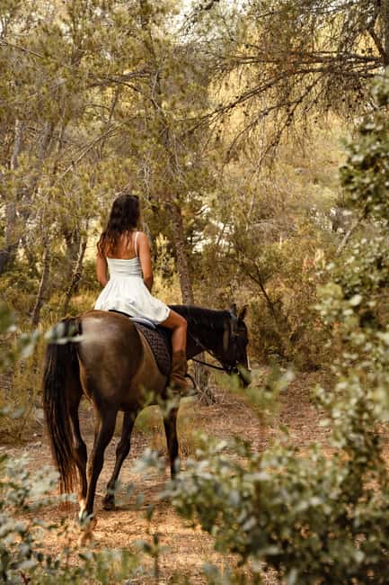 IBIZA: Private Horseback Ride with PICNIC + Hotel Pick-up - How the $410 price holds up
