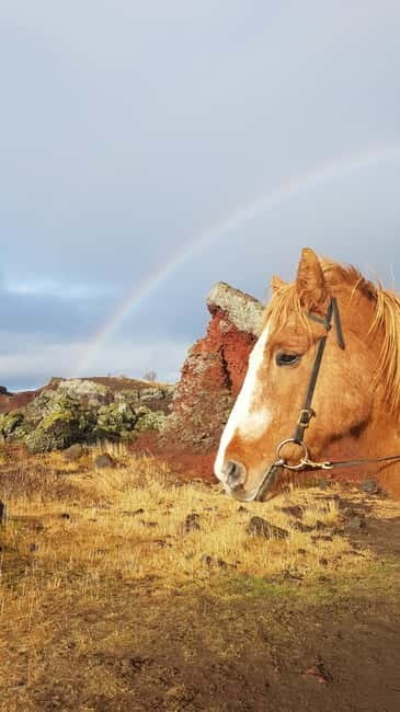 Iceland: Volcanic Landscape Horse Riding Tour - Riding Icelandic horses near Reykjavík