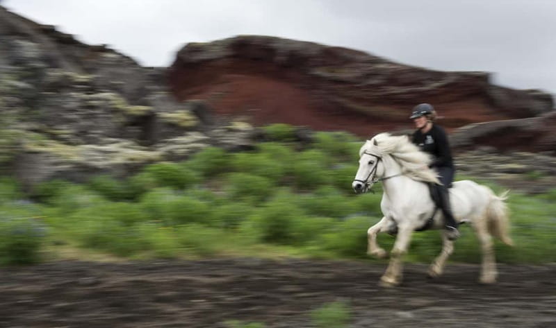 Iceland: Volcanic Landscape Horse Riding Tour - A two-hour route through volcanic countryside