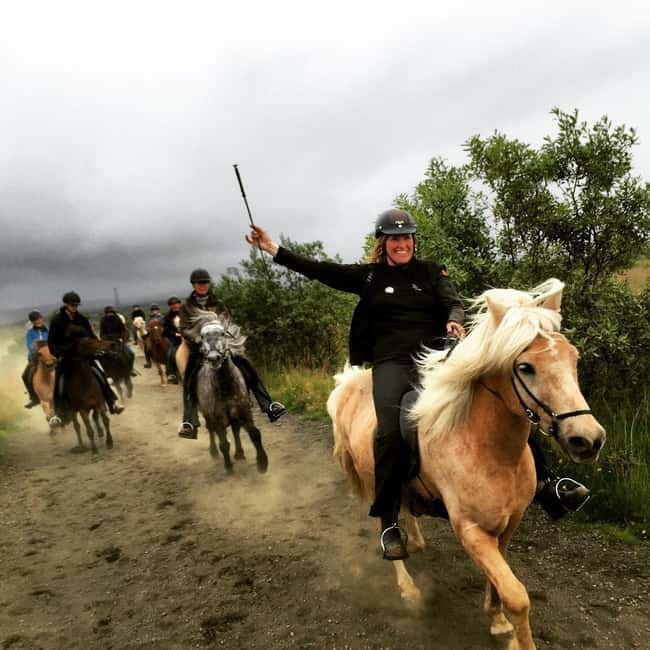 Iceland: Volcanic Landscape Horse Riding Tour - Getting to Víðidalur and preparing for the ride
