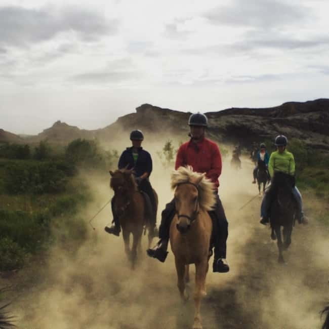 Iceland: Volcanic Landscape Horse Riding Tour - Who should book this horse ride?
