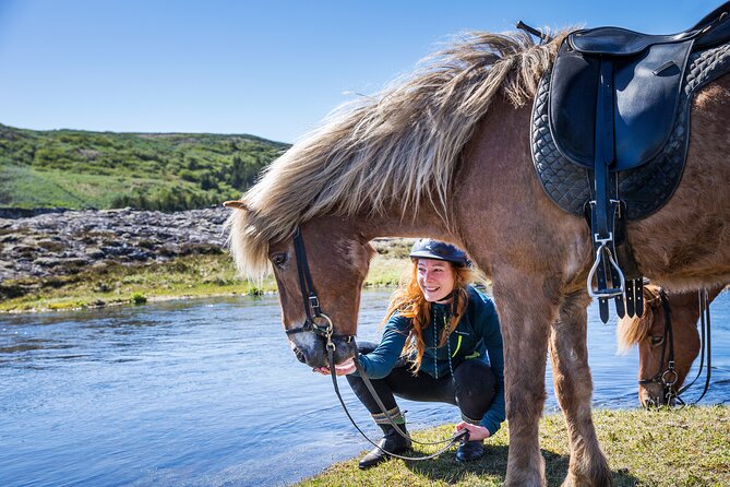 Icelandic Horse Riding and Whale Watching Tour from Reykjavik - What makes this Iceland day special