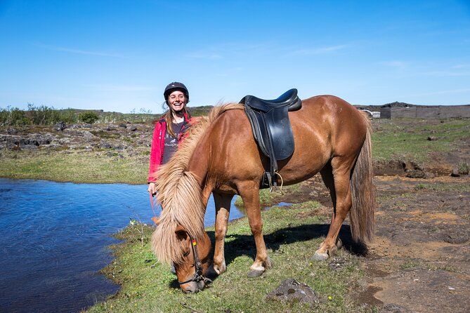Icelandic Horse Riding and Whale Watching Tour from Reykjavik - Who will enjoy this combination most