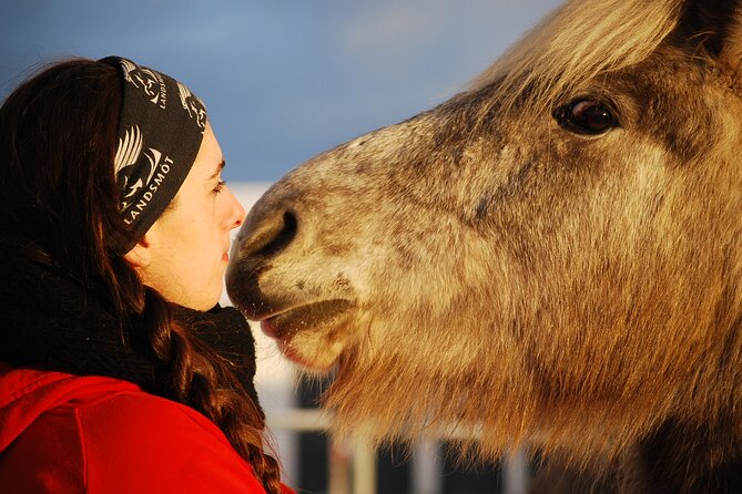 Icelandic Horse Riding and Whale Watching Tour from Reykjavik - Riding across lava fields near Hafnarfjörður