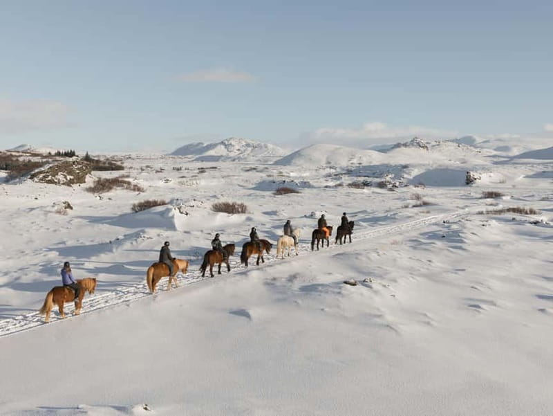 Icelandic Horse Riding Tour & Pickup Option from Reykjavik - Key points at a glance