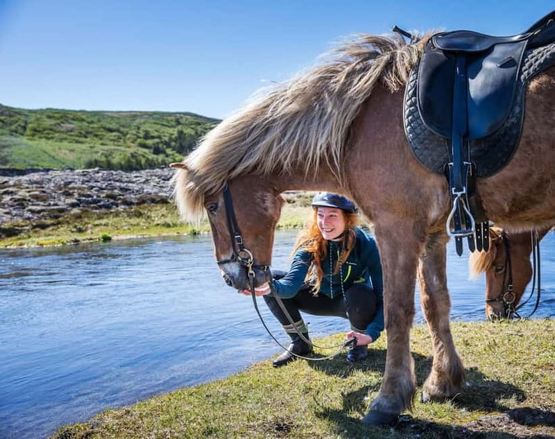 Icelandic Horse Riding Tour & Pickup Option from Reykjavik - A close look at Iceland from horseback