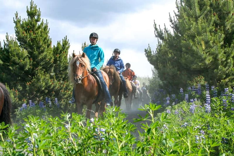 Icelandic Horse Riding Tour & Pickup Option from Reykjavik - The first 10 to 15 minutes on horseback