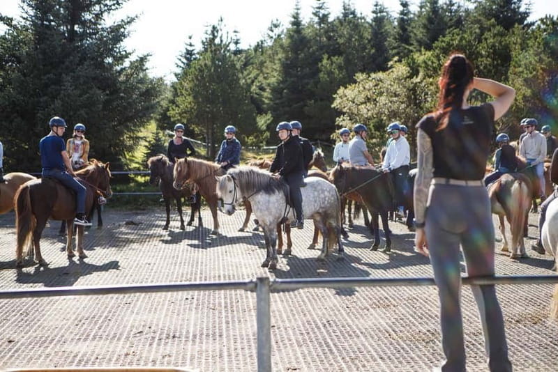 Icelandic Horse Riding Tour & Pickup Option from Reykjavik - Is $135 a fair price?