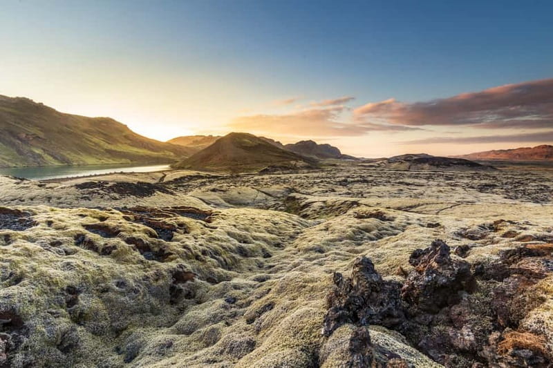 Icelandic Horse Riding Tour & Pickup Option from Reykjavik - Who should book this ride?