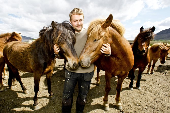Icelandic Horseback Riding Tour Including Pick Up from Reykjavik - The short drive from Reykjavik to Laxnes Farm