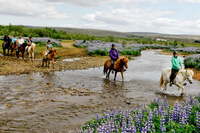 Icelandic Horseback Riding Tour Including Pick Up from Reykjavik - Horse matching and the first few minutes in the saddle
