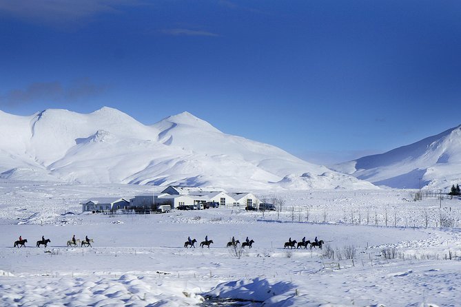 Icelandic Horseback Riding Tour Including Pick Up from Reykjavik - Countryside trails, lava fields, and river crossings
