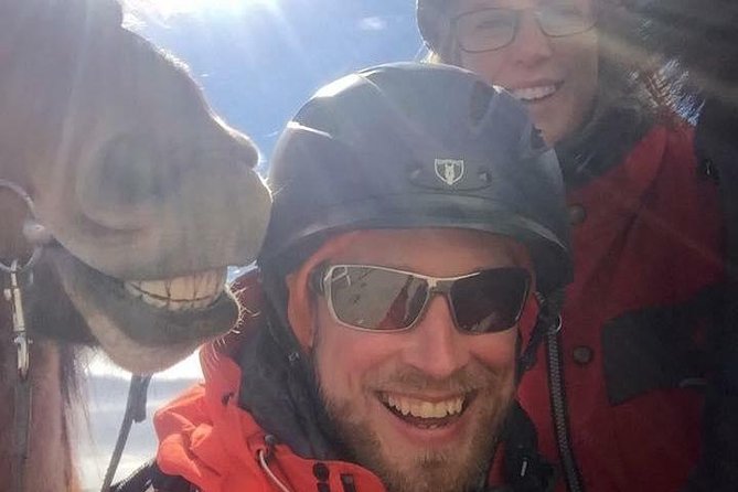Icelandic Horseback Riding Tour Including Pick Up from Reykjavik - Practical booking advice for a smoother ride