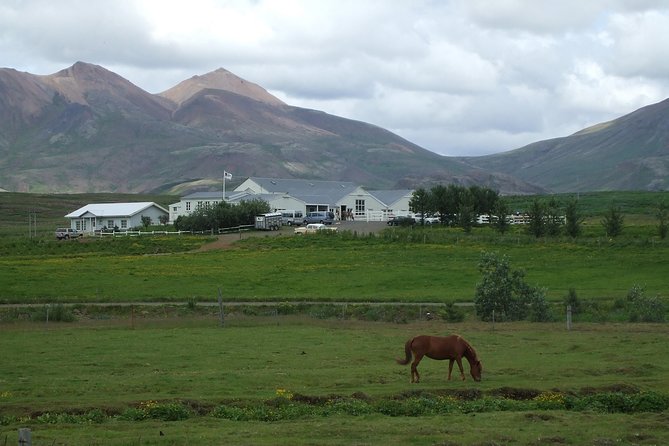 Icelandic Horseback Riding Tour Including Pick Up from Reykjavik - Getting fitted with helmets, boots, and weather gear