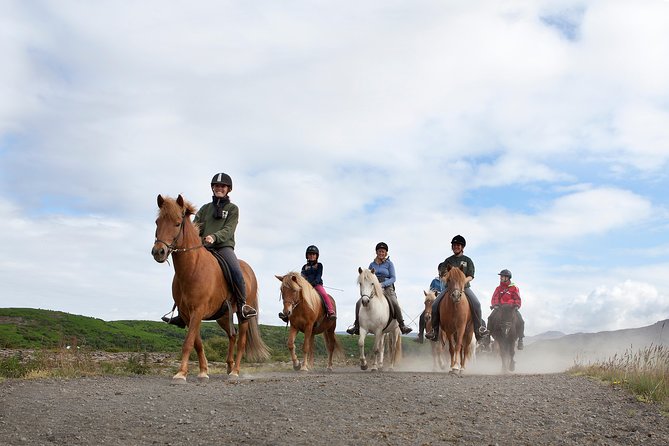 Icelandic Horseback Riding Tour with Pickup Option from Reykjavik - From Reykjavik to the Ishestar stables