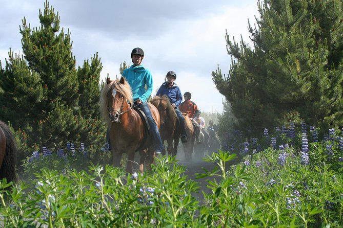 Icelandic Horseback Riding Tour with Pickup Option from Reykjavik - What the different riding groups feel like