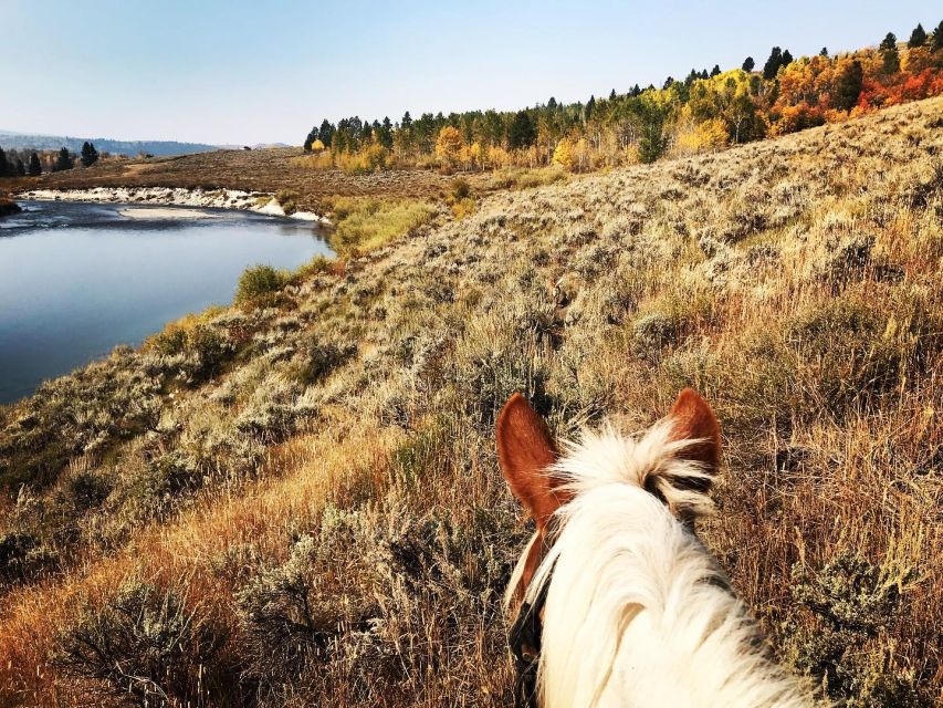 Jackson Hole: Bridger-Teton National Forest Horseback Ride - Leaving Heart Six Ranch for the Wyoming backcountry