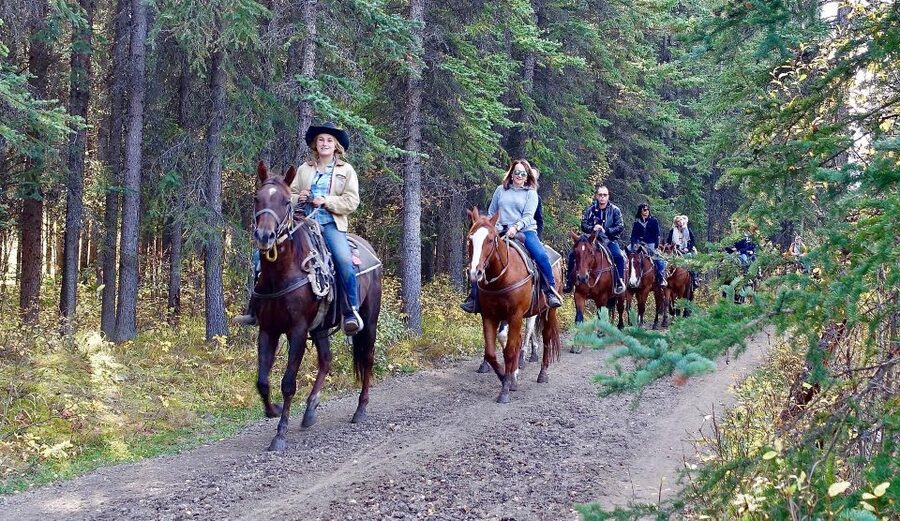 Jackson Hole: Bridger-Teton National Forest Horseback Ride - A useful lesson before the trail
