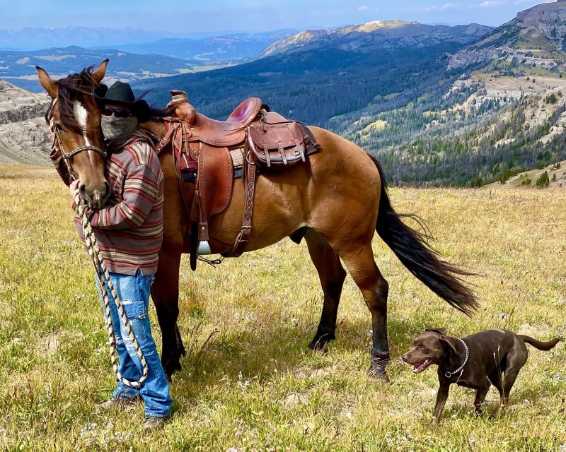 Jackson Hole: Bridger-Teton National Forest Horseback Ride - What you may see along the way