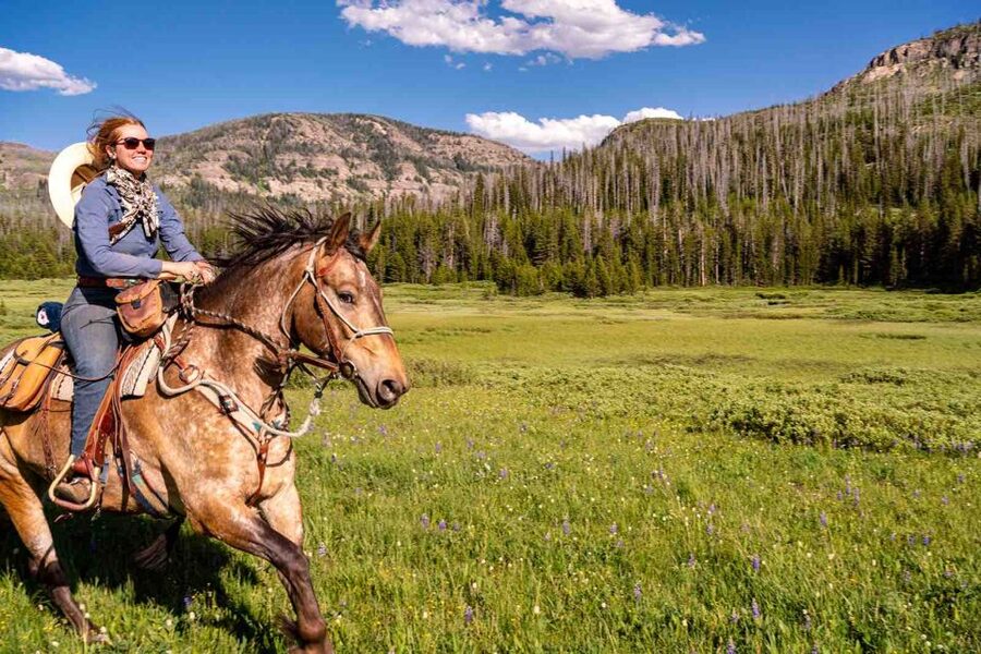 Jackson Hole: Dinner Cookout & Bridger-Teton Horseback Ride - Riding Buffalo Valley toward the Tetons