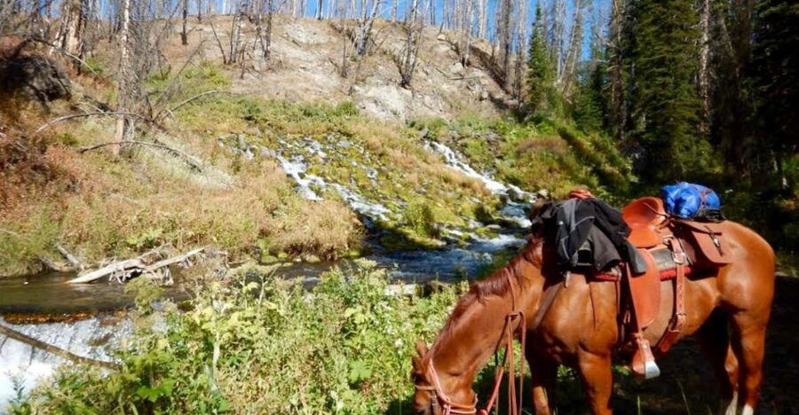 Jackson Hole: Dinner Cookout & Bridger-Teton Horseback Ride - Booking details that can change your plans
